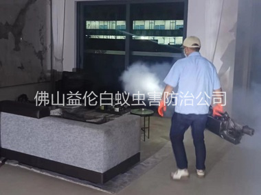 高明室内灭蚊虫工程